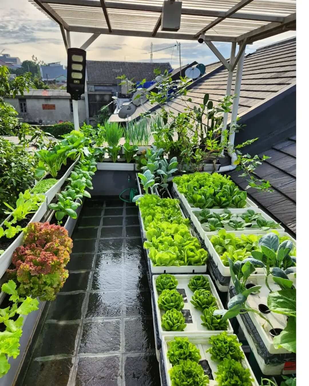Maximize space with greenery