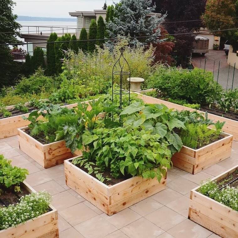 Rustic raised beds for fresh produce